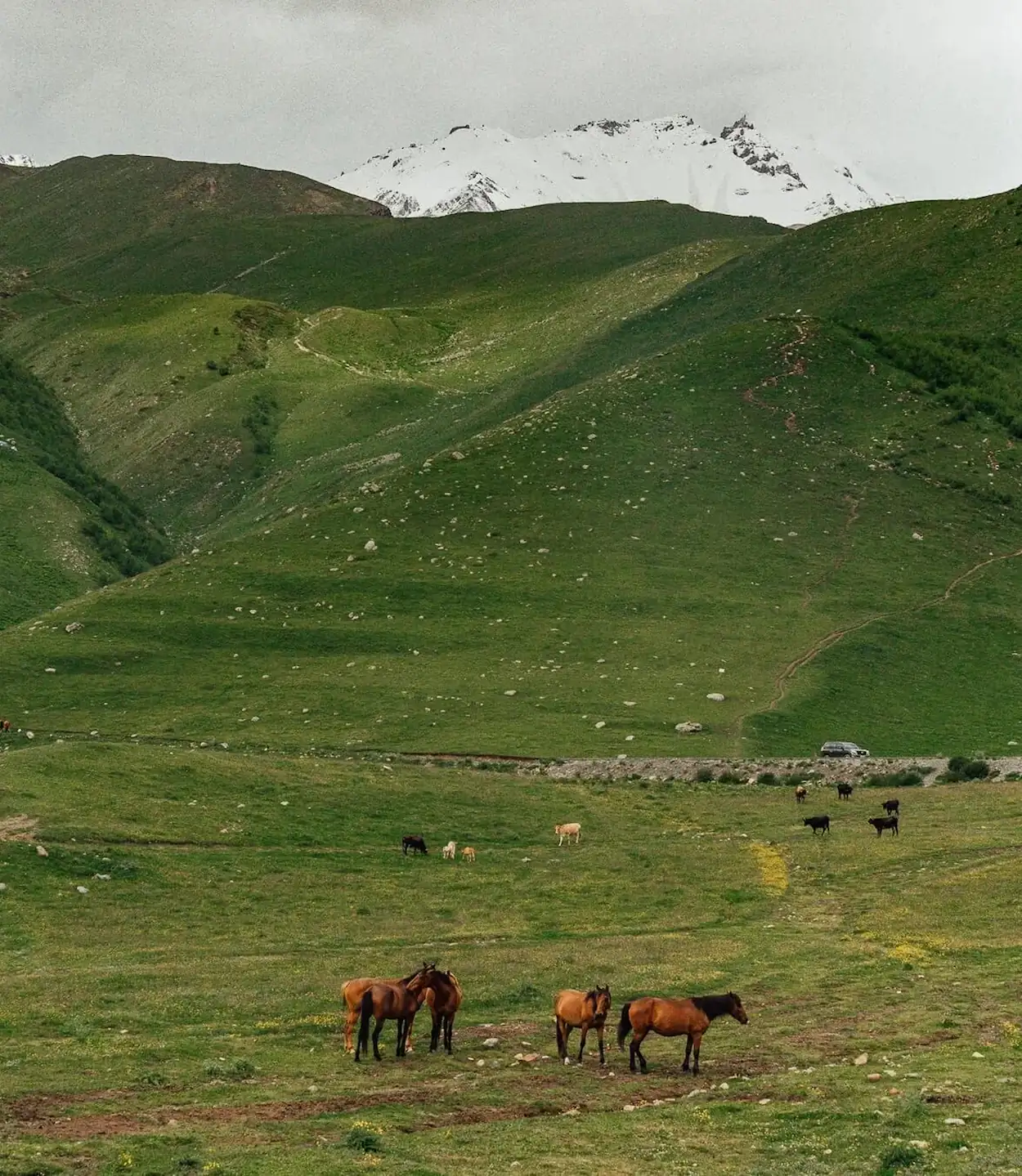 Georgian mountains